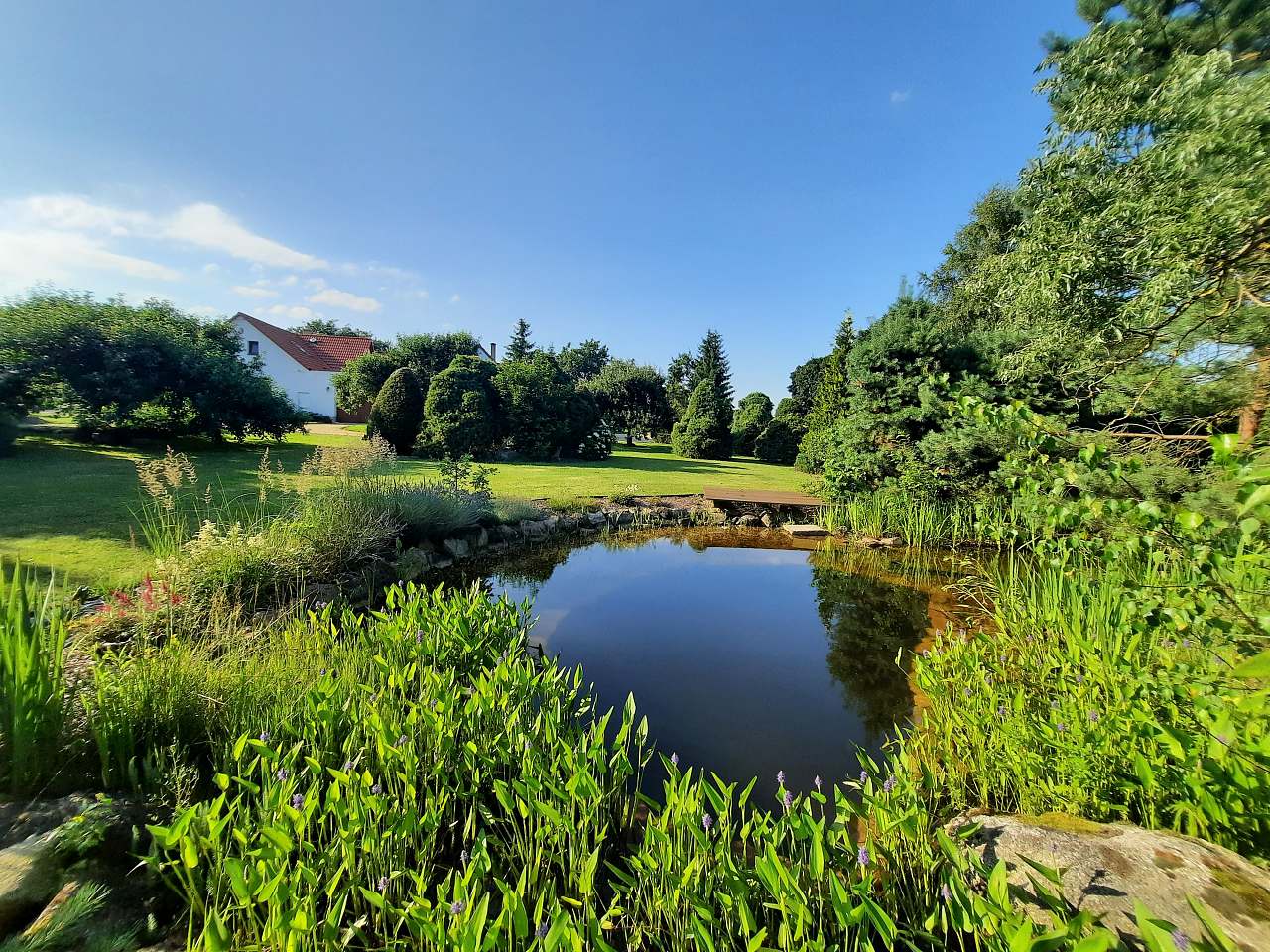 Accommodation  v Pařezí Chlum u Třeboně