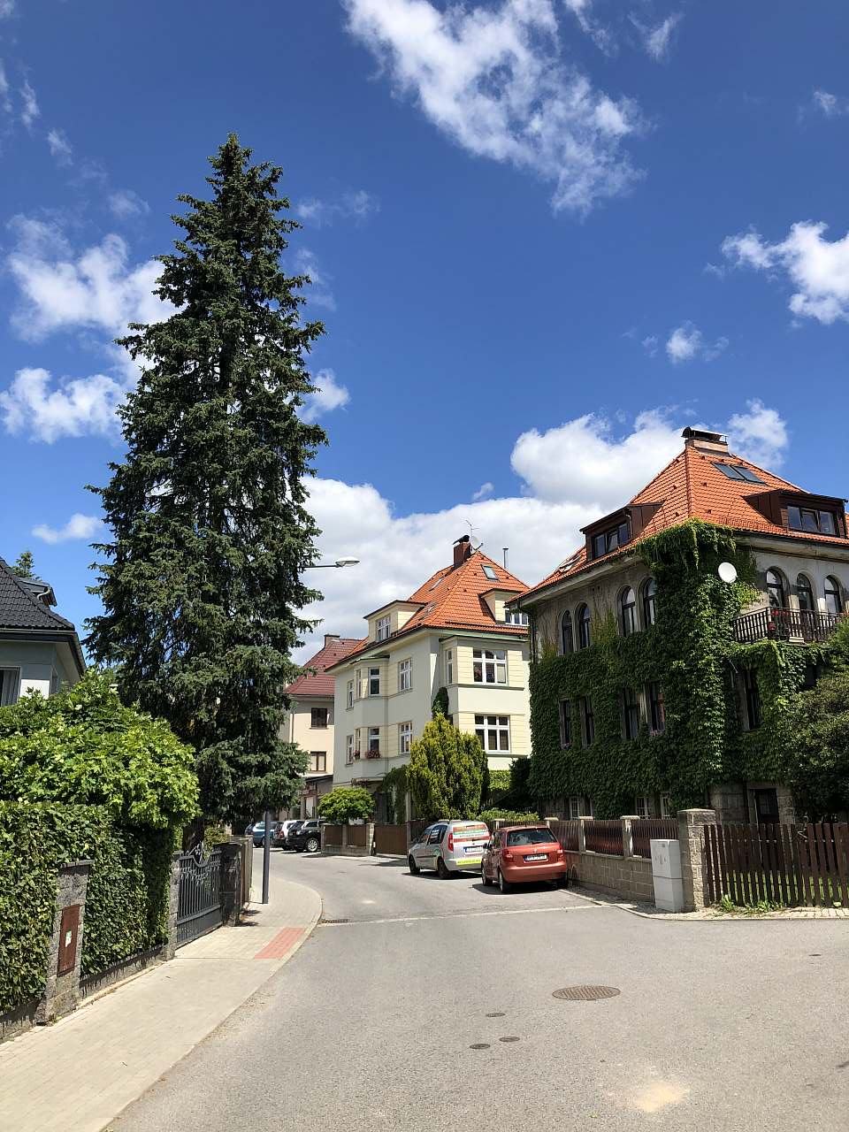 Aparment Byt v secesní vile u botanické zahrady a ZOO Liberec