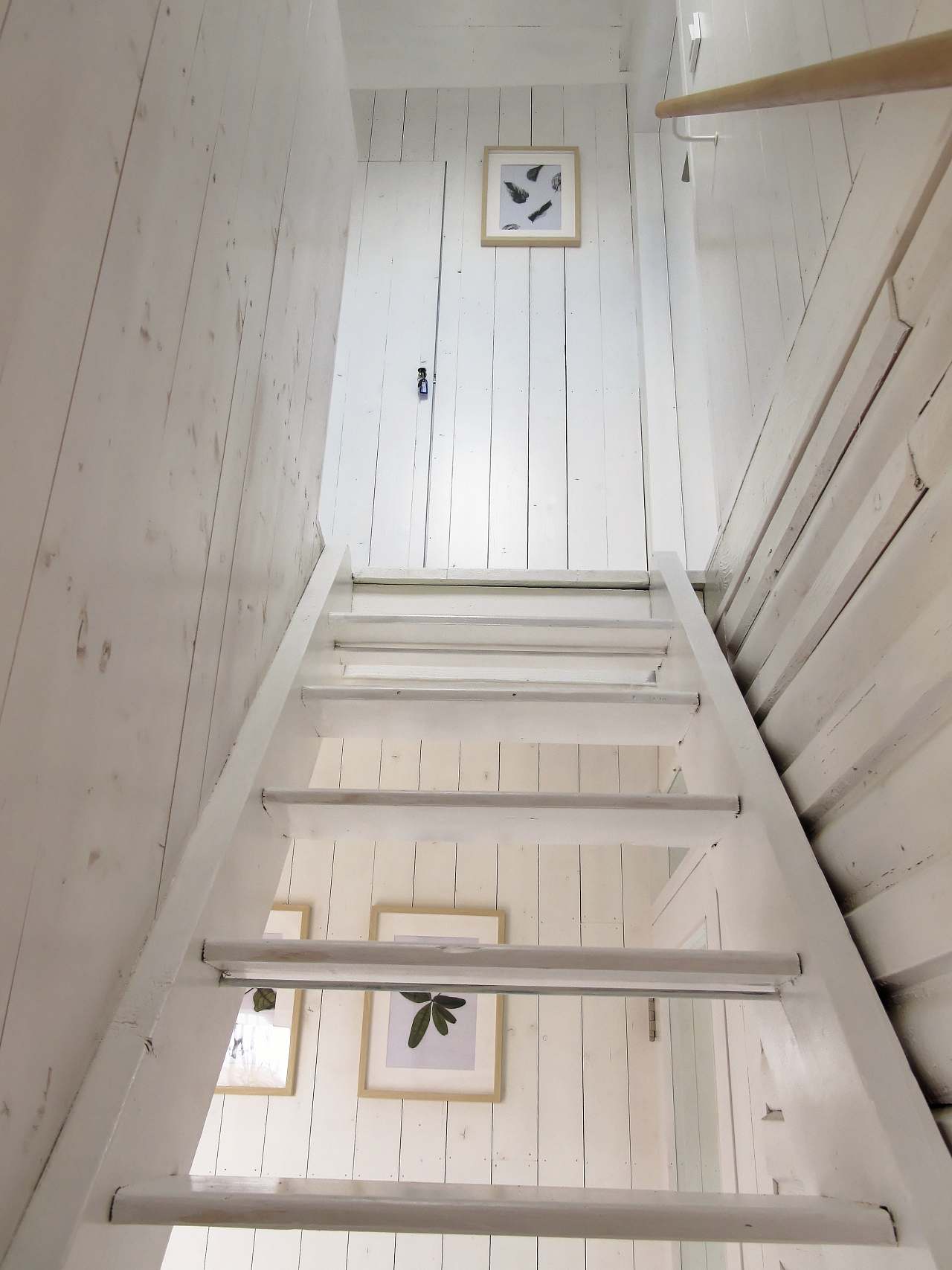 Cabin Podlesí Sněžné - Podlesí