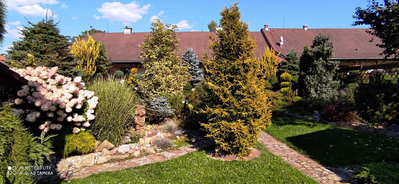 Apartment for rent Chlum u Třeboně