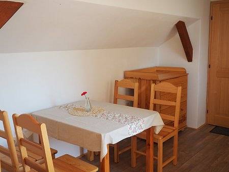 Accommodation u Šírků Domanín