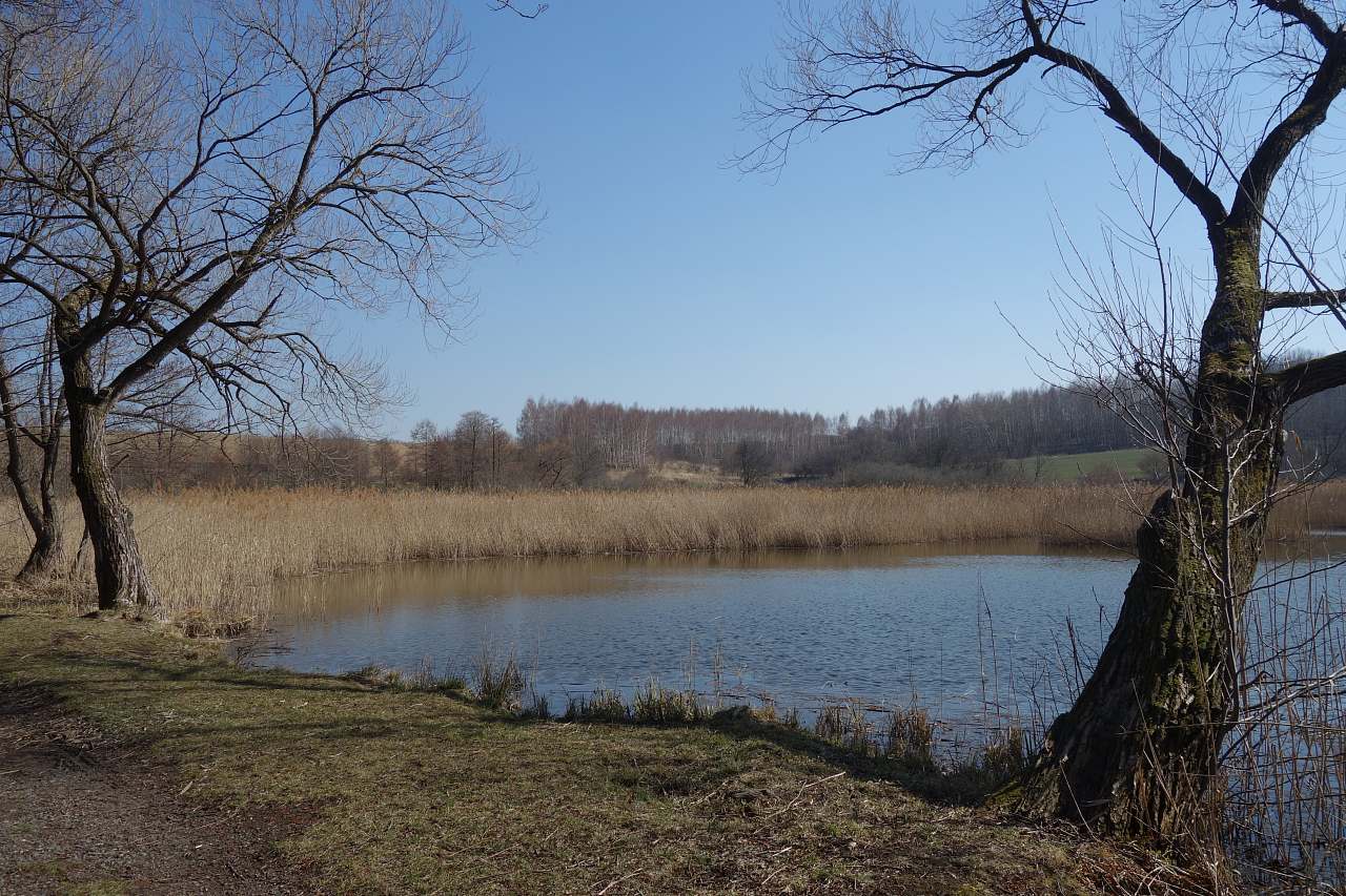 Cottage Na chaloupce u lesa Hradec - Nová Ves