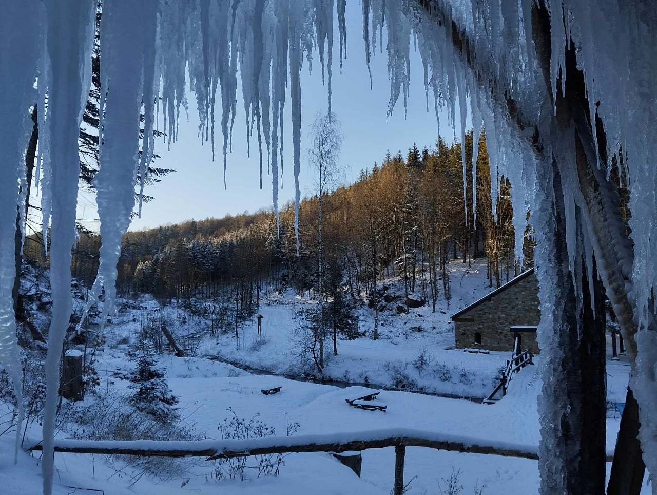Cottage Na chaloupce u lesa Hradec - Nová Ves