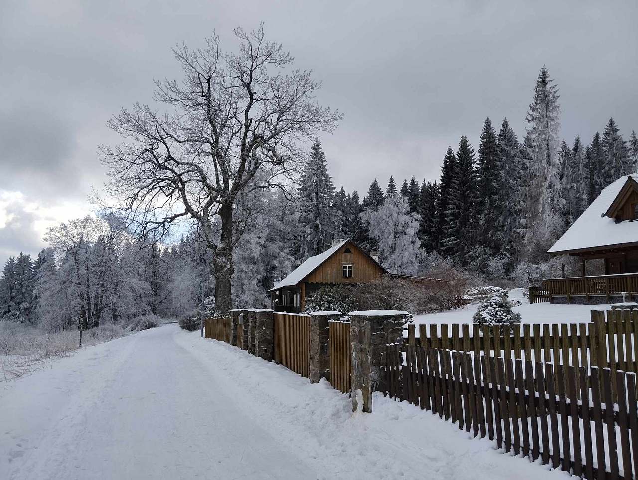 Cottage Na chaloupce u lesa Hradec - Nová Ves