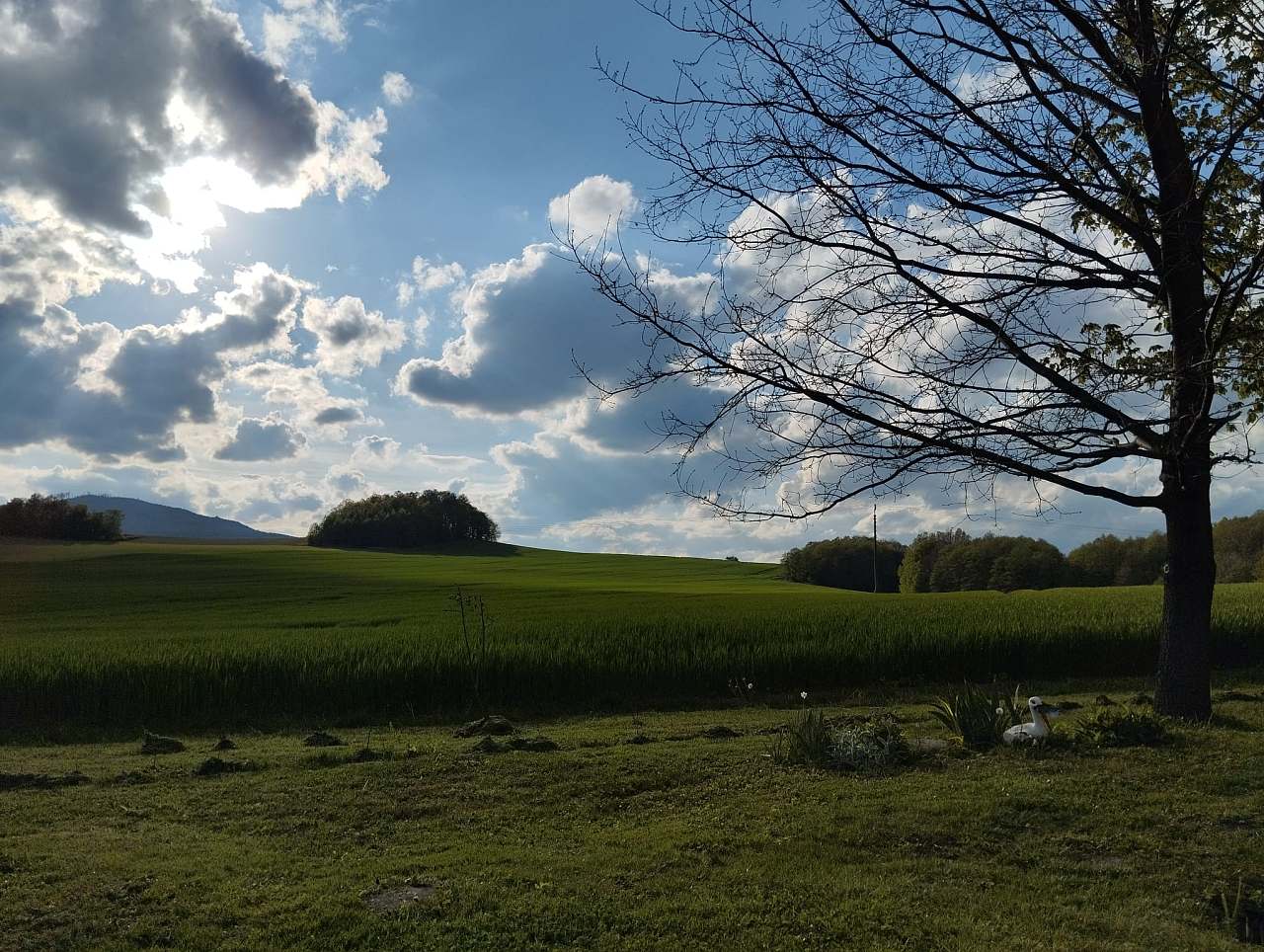 Cottage Na chaloupce u lesa Hradec - Nová Ves
