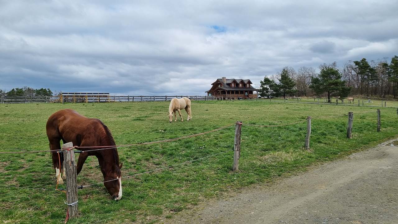 Log Cabin Ranč v Buši Čím