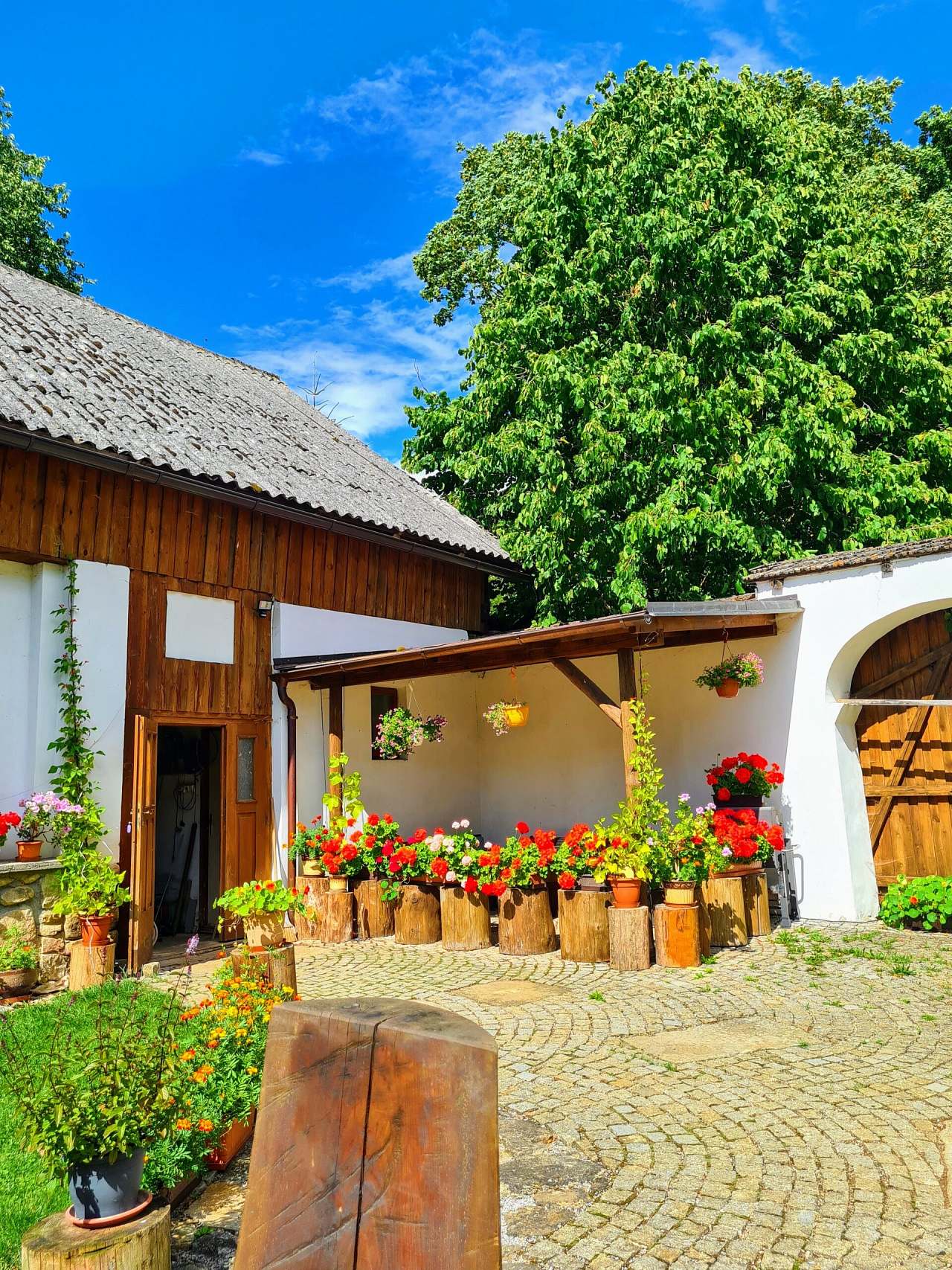 Guest House Element Zbinohy