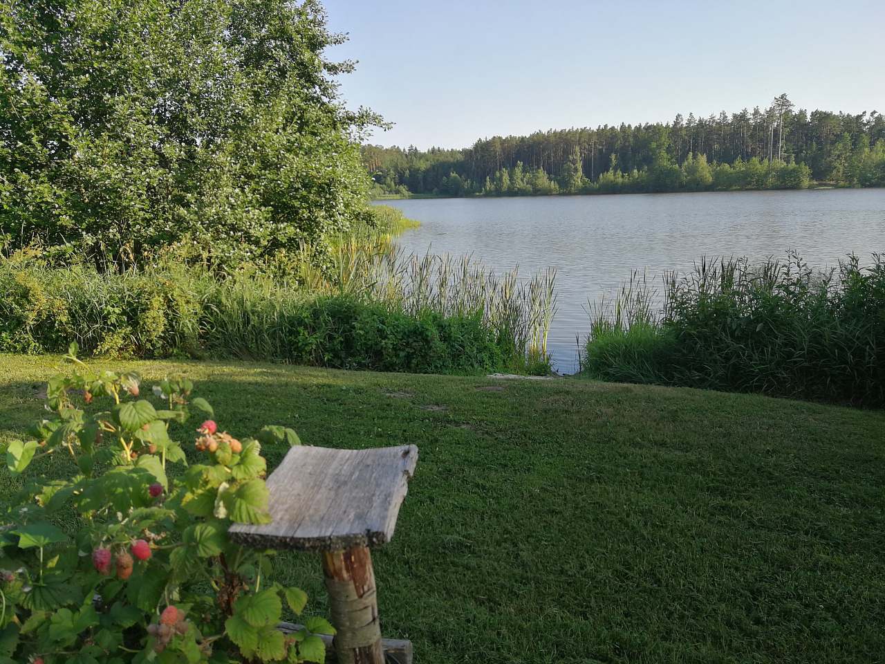 Cottage se 2 byty k pronájmu Stříbřec