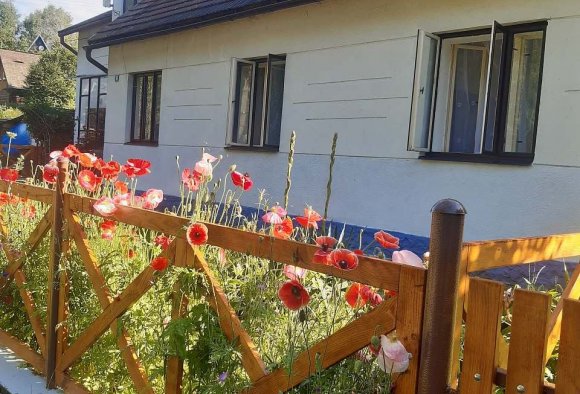 Cottage to rent