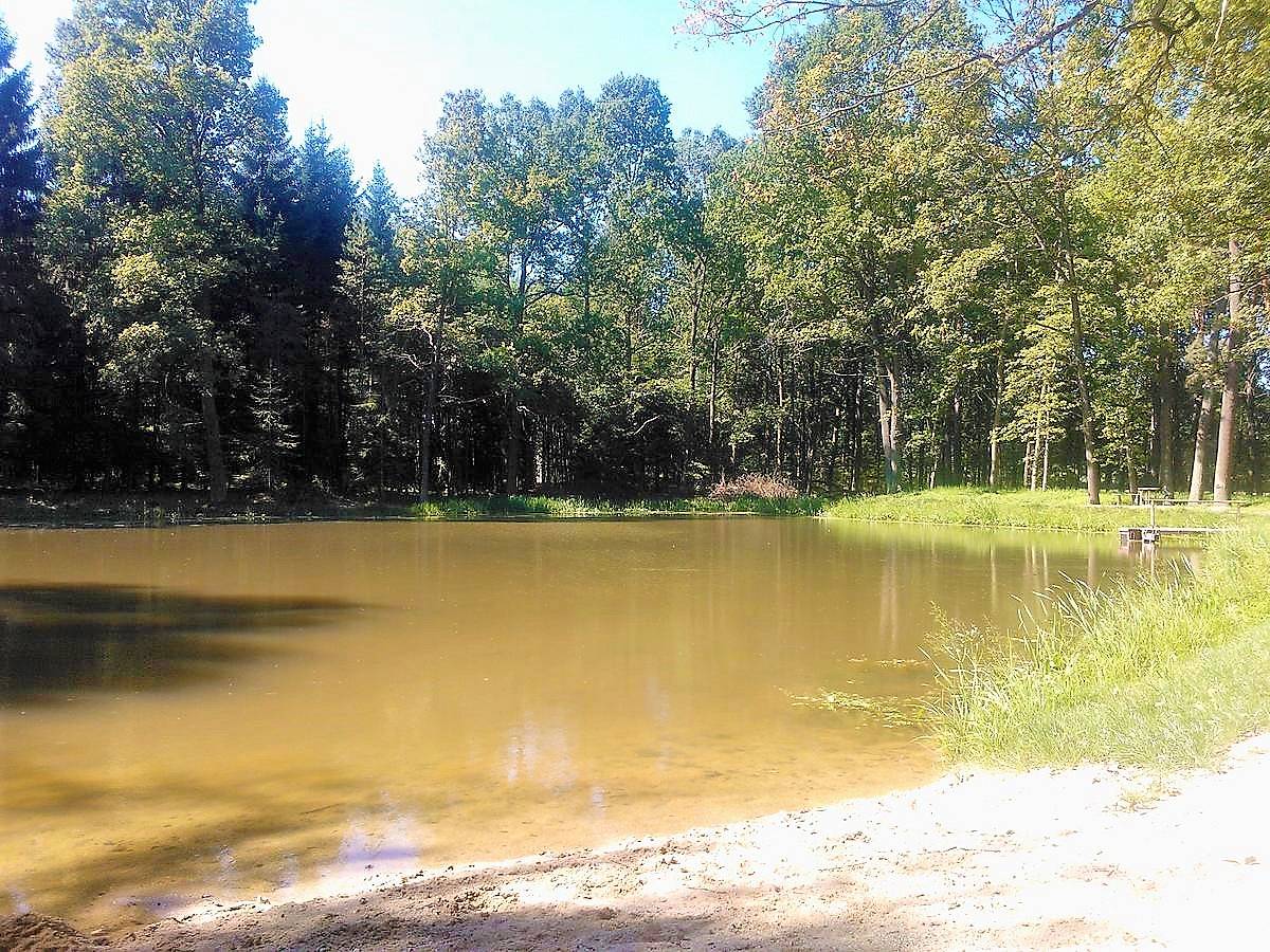 Cabin Na Vobůrce Hůrky u Lišova