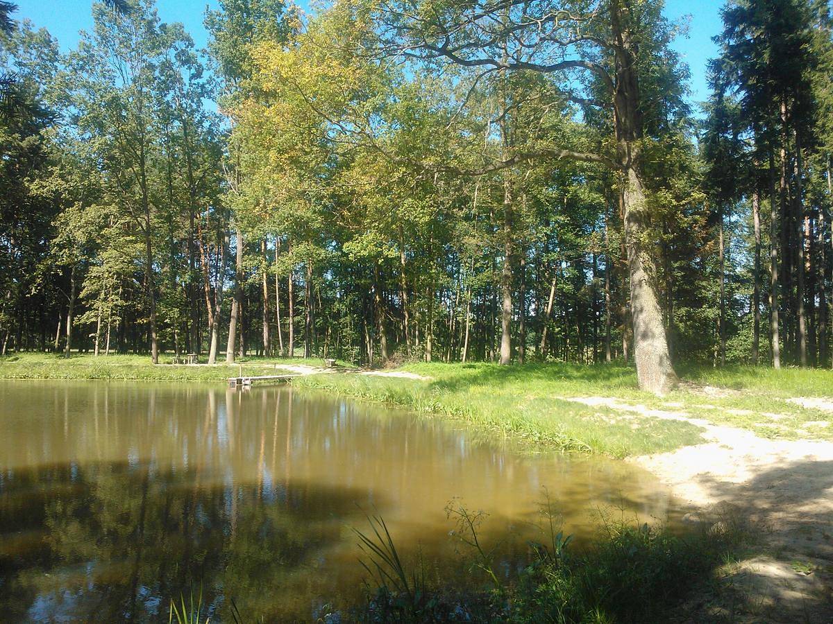Cabin Na Vobůrce Hůrky u Lišova