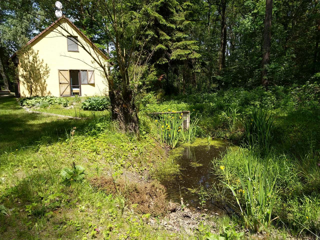 Cabin Na Vobůrce Hůrky u Lišova