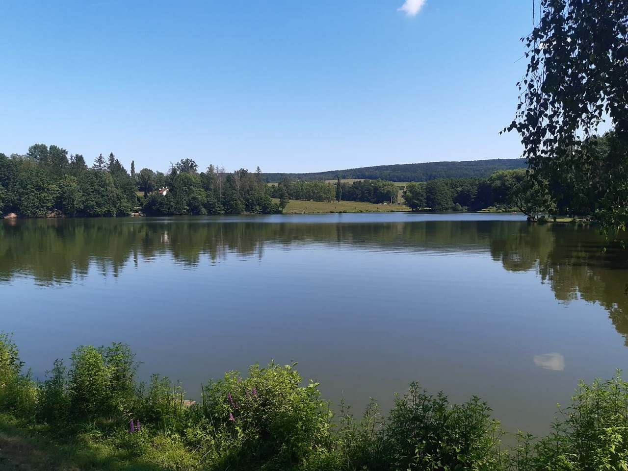 Cabin u Pekelských rybníků Seč - Počátky