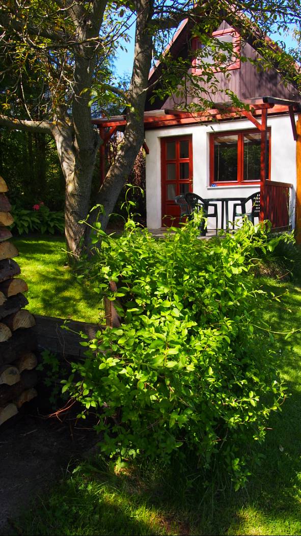 Cabin U Berků Větřní