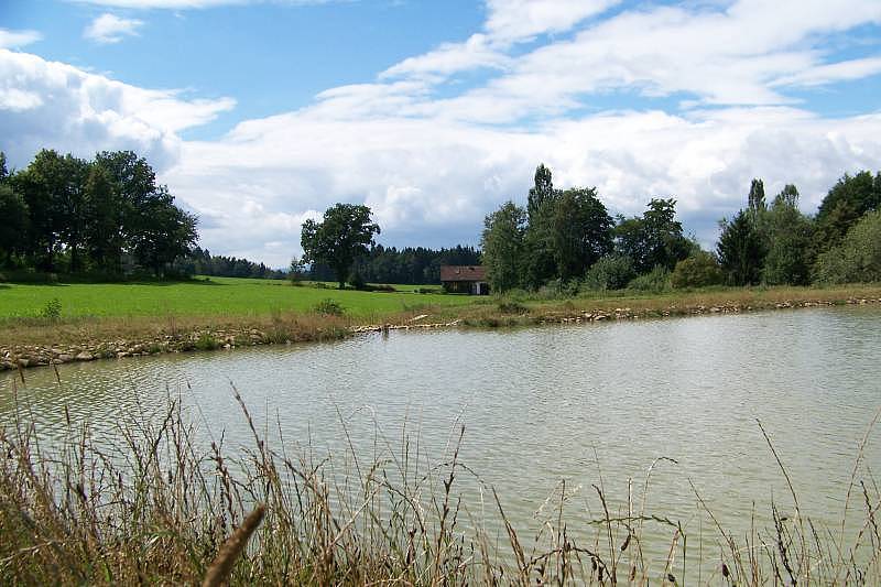 Cottage for rent Petrovice