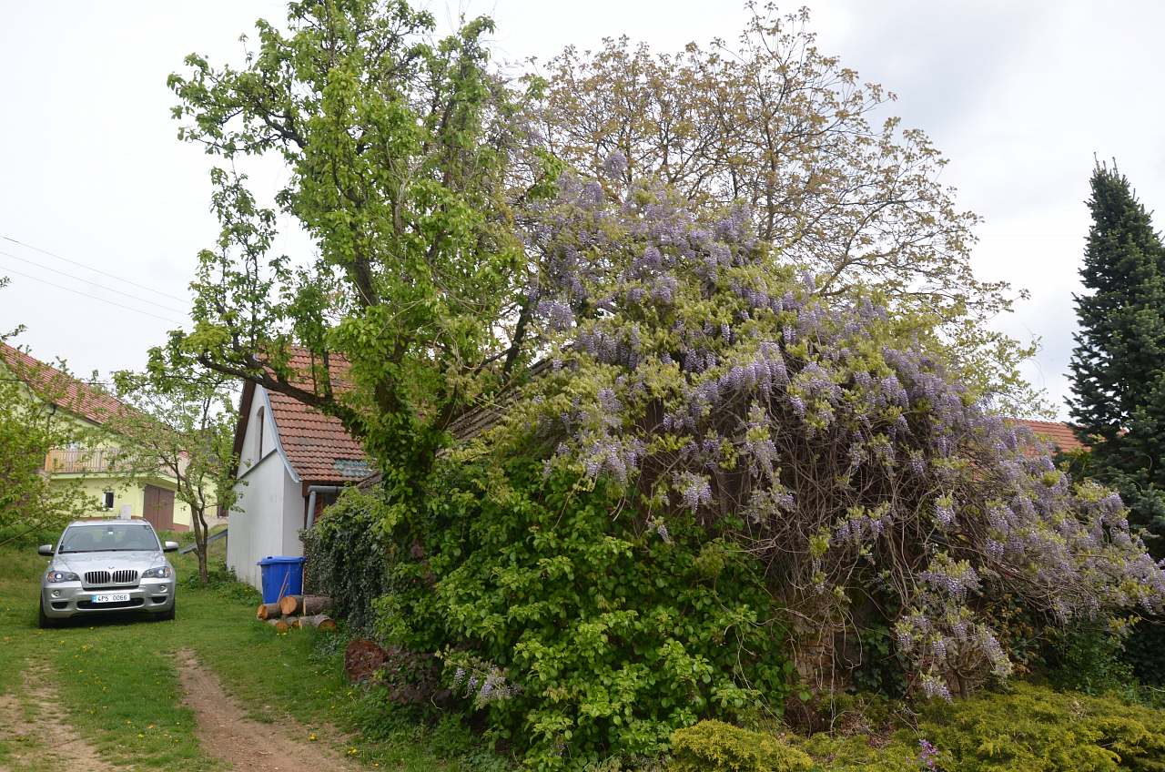 Cottage U Černých ovcí Horní Lhotice