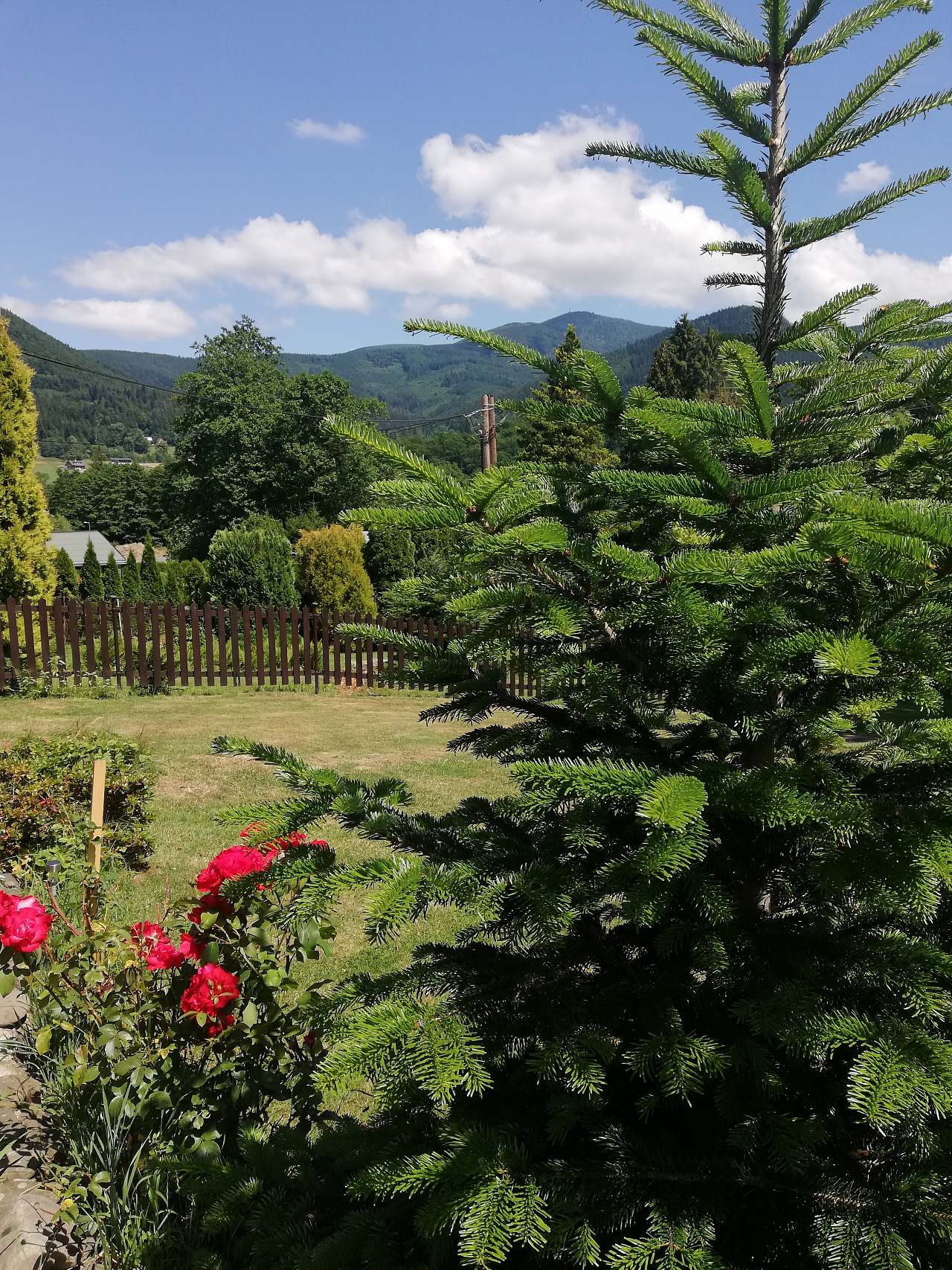 Cabin to rent Ostravice