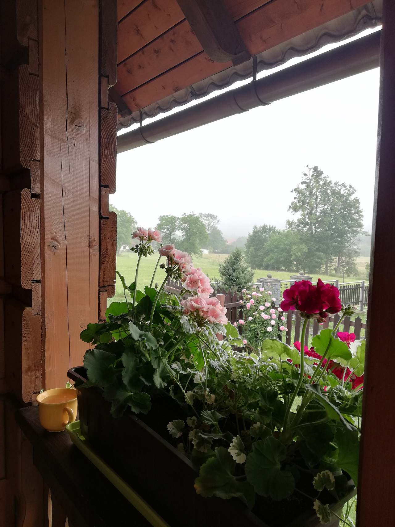 Cabin to rent Ostravice