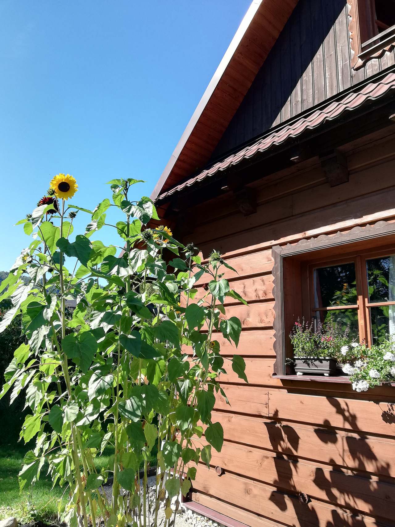 Cabin to rent Ostravice