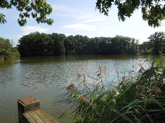 Cabin to rent Soběslav - Švadlačky